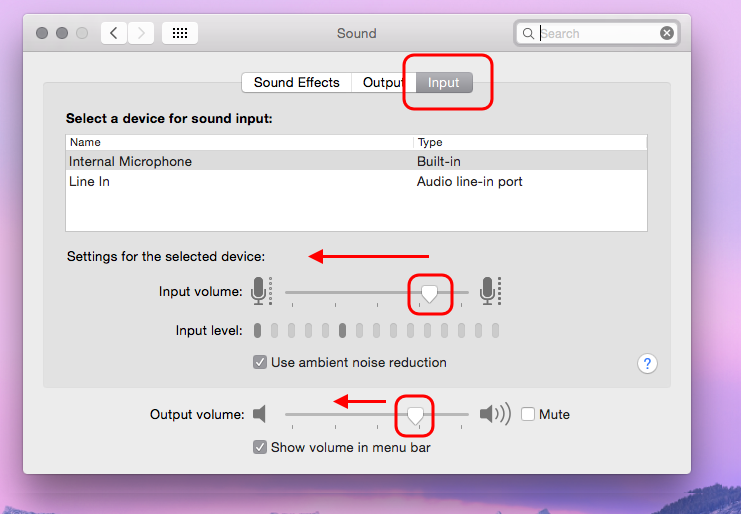 Mac microphone input and speaker output settings
