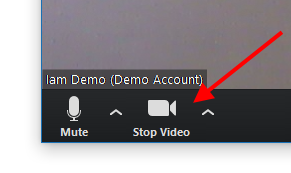 "Stop Video" button to mute camera