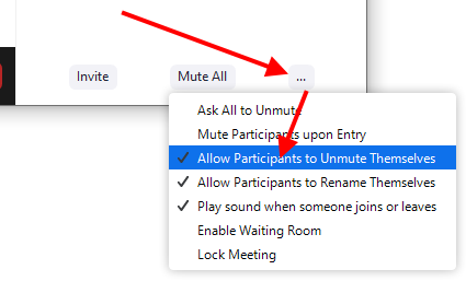 3 dots menu, "Allow participants to unmute themselves" option
